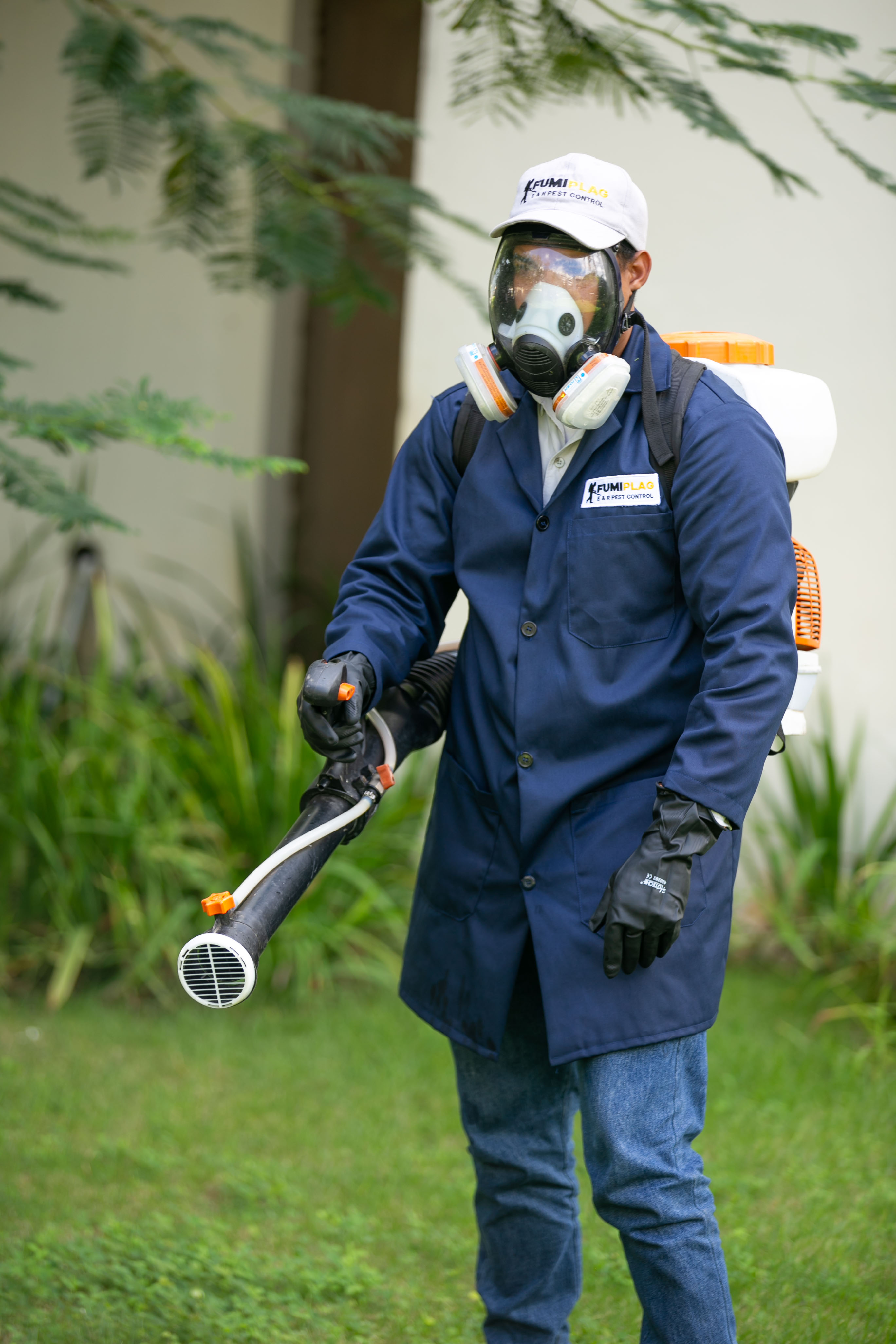 Fumigación Residencial